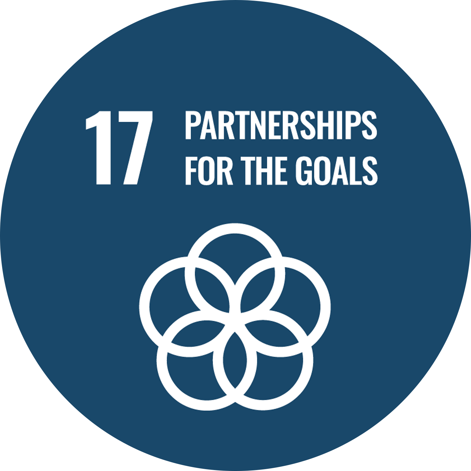 Partnerships for the Goals